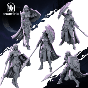 Nightveil Spearguards