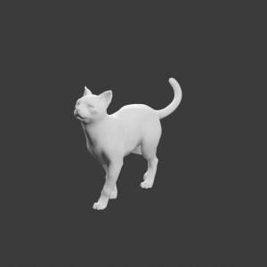 Chat Sacré