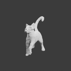 M. Câlin