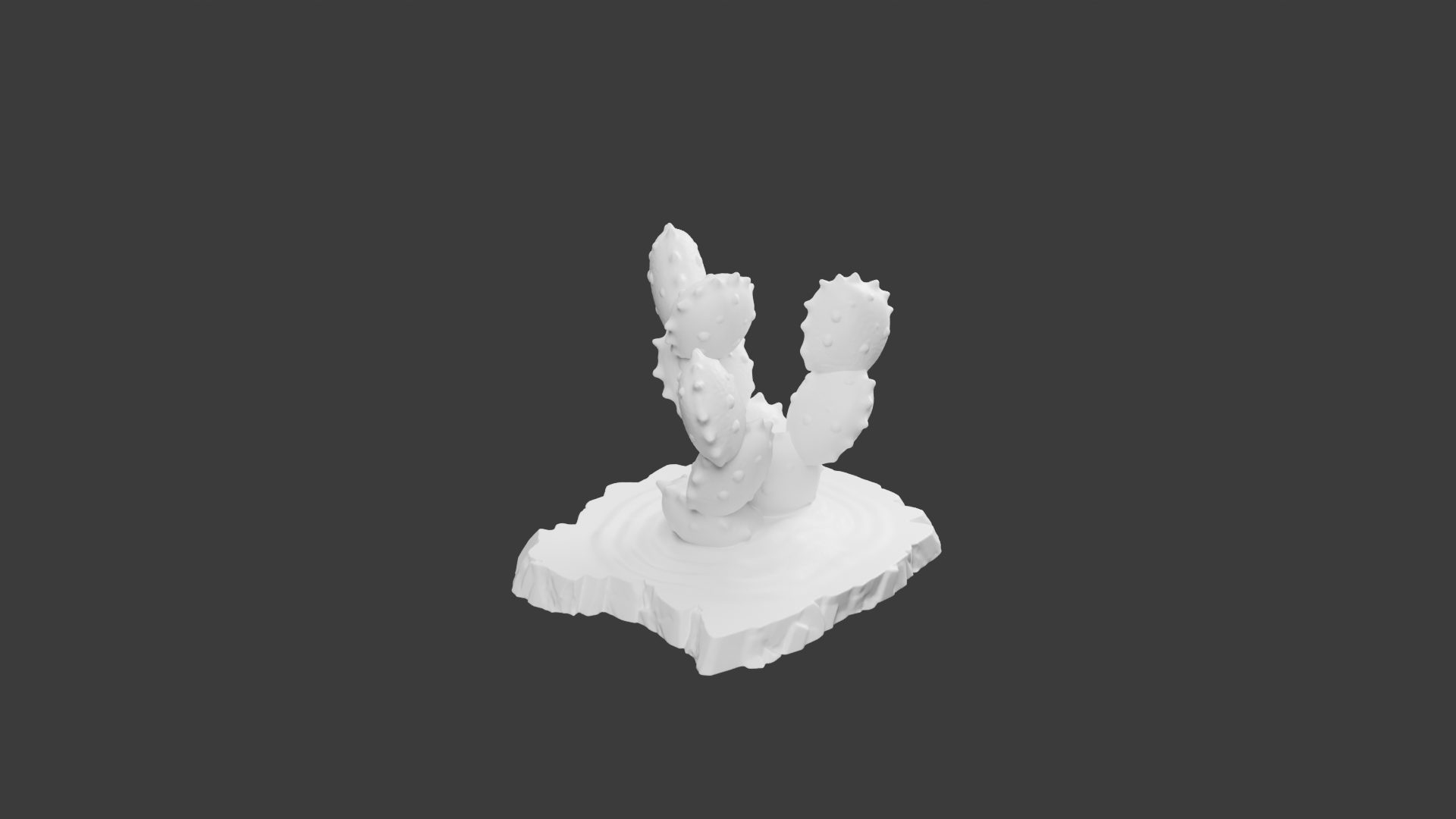 Cactus Égyptiens 1 – Cactus Égyptien pour Tabletop – Image 2